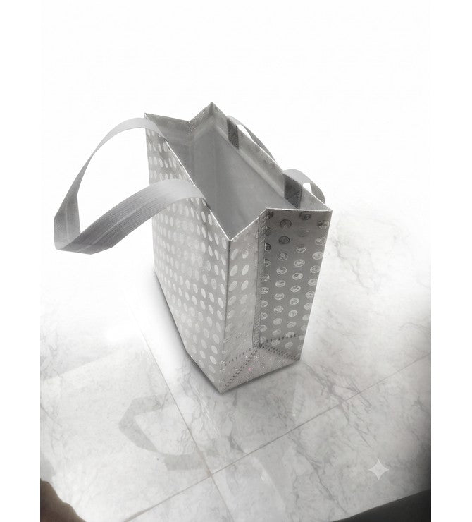 Gift bag 1( Big )