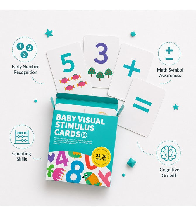 Baby Visual Cards(24-30)M
