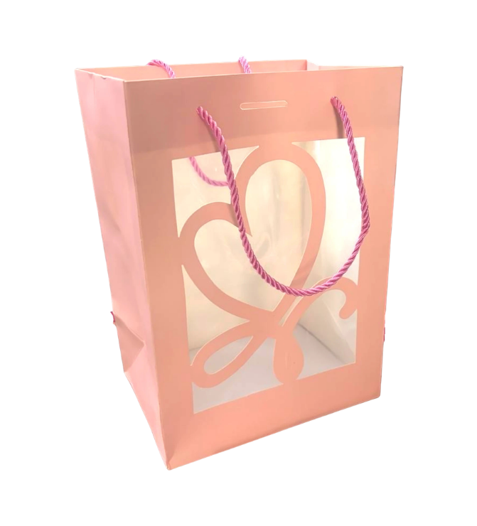 Paper Gift Bag