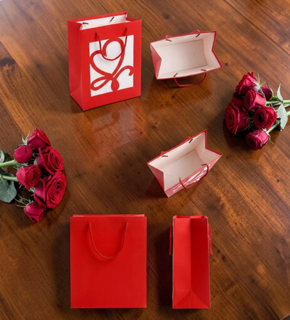 Paper Gift Bag
