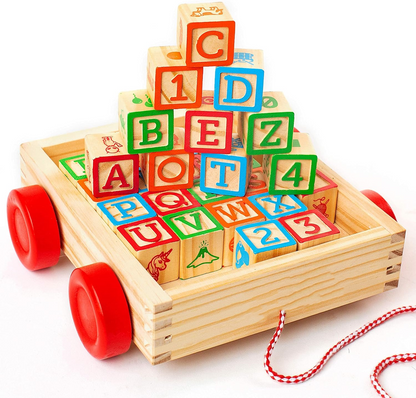Abcd Building Blocks Push &Pull Big