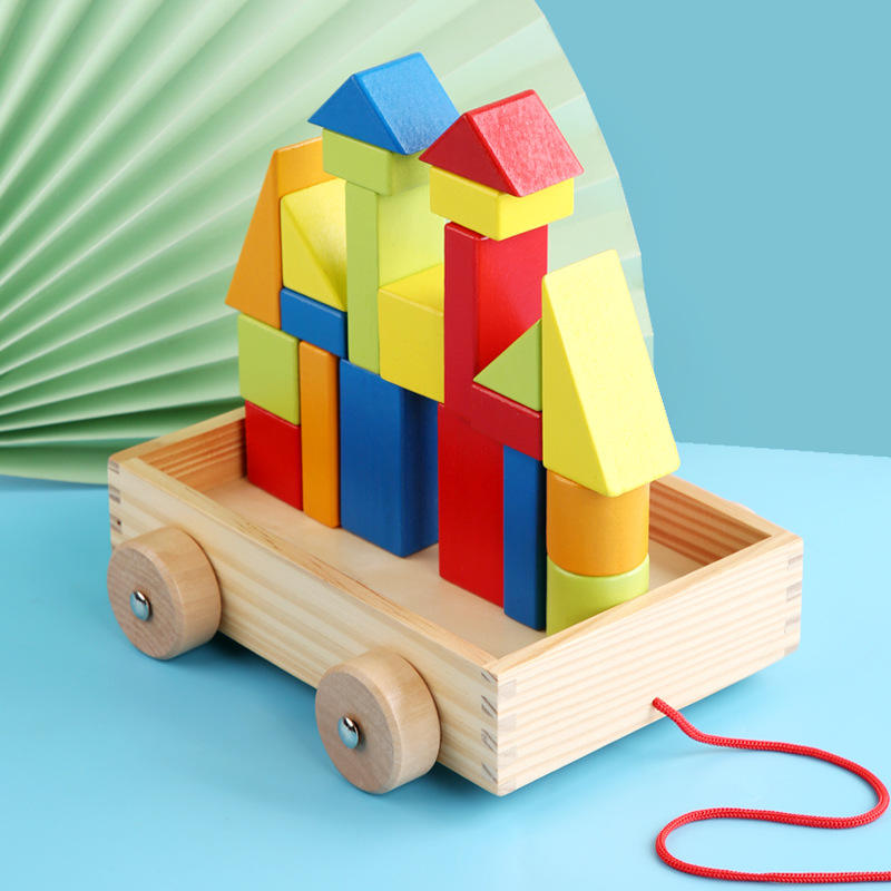 Shapes Buliding Blocks Push & Pull