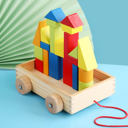 Shapes Buliding Blocks Push & Pull