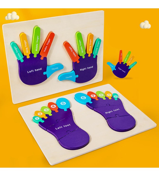 Hand and Foot Number Learning Puzzle