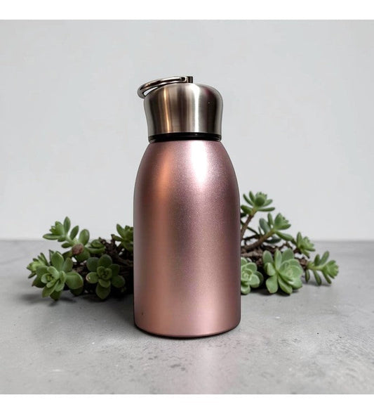 Plain SS botttle