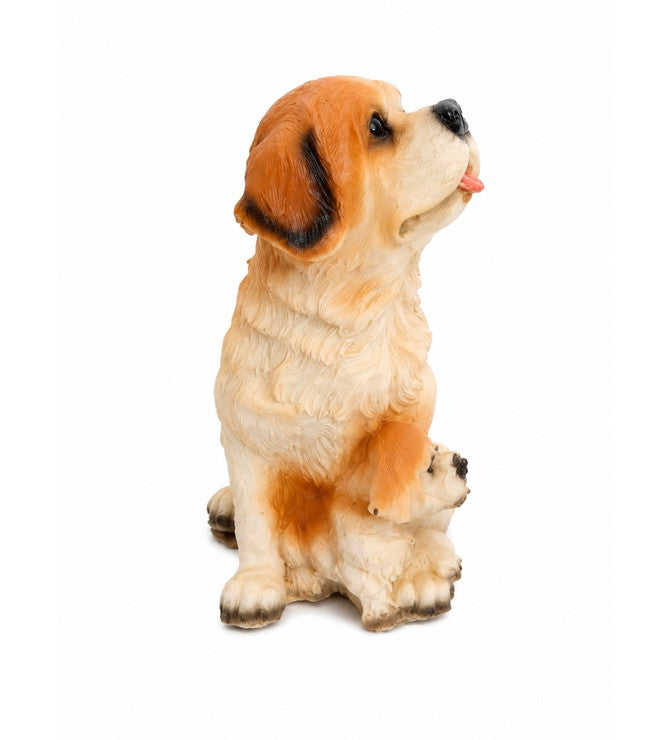 Dog Showpiece