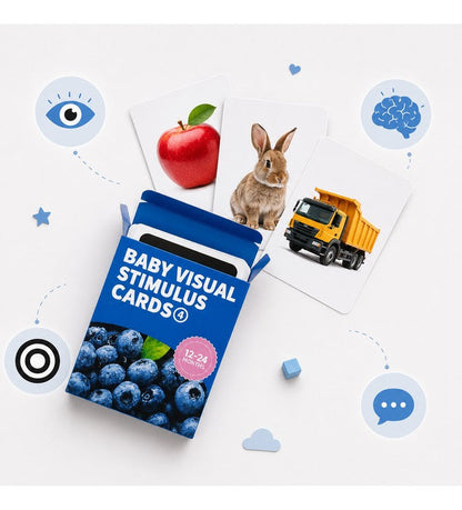 Baby Visual Cards (12-24)M