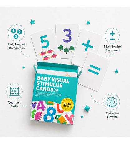 Baby Visual Cards(24-30)M