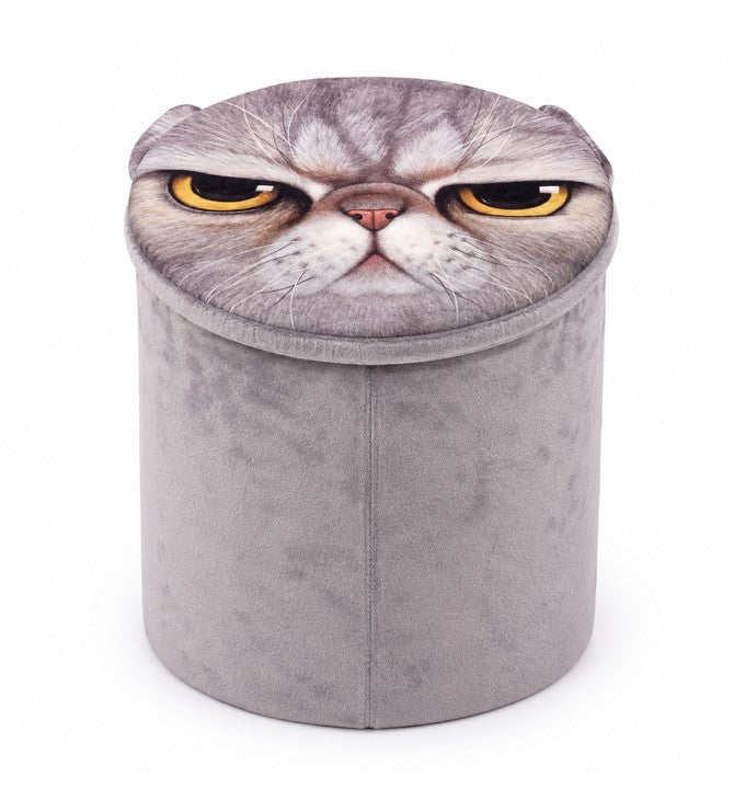 Storage Boxes