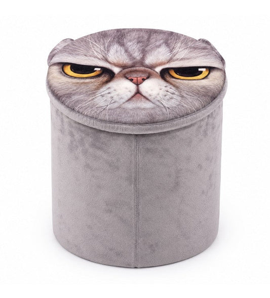 Storage Boxes
