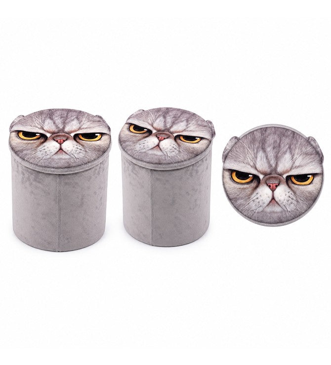 Storage Boxes