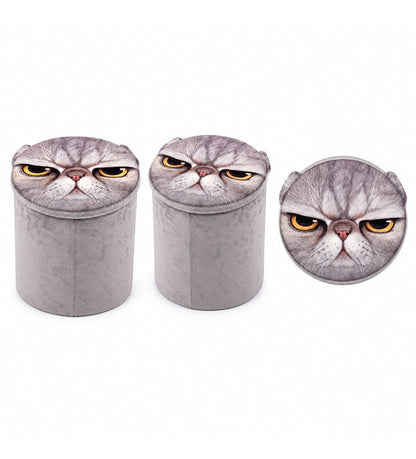 Storage Boxes