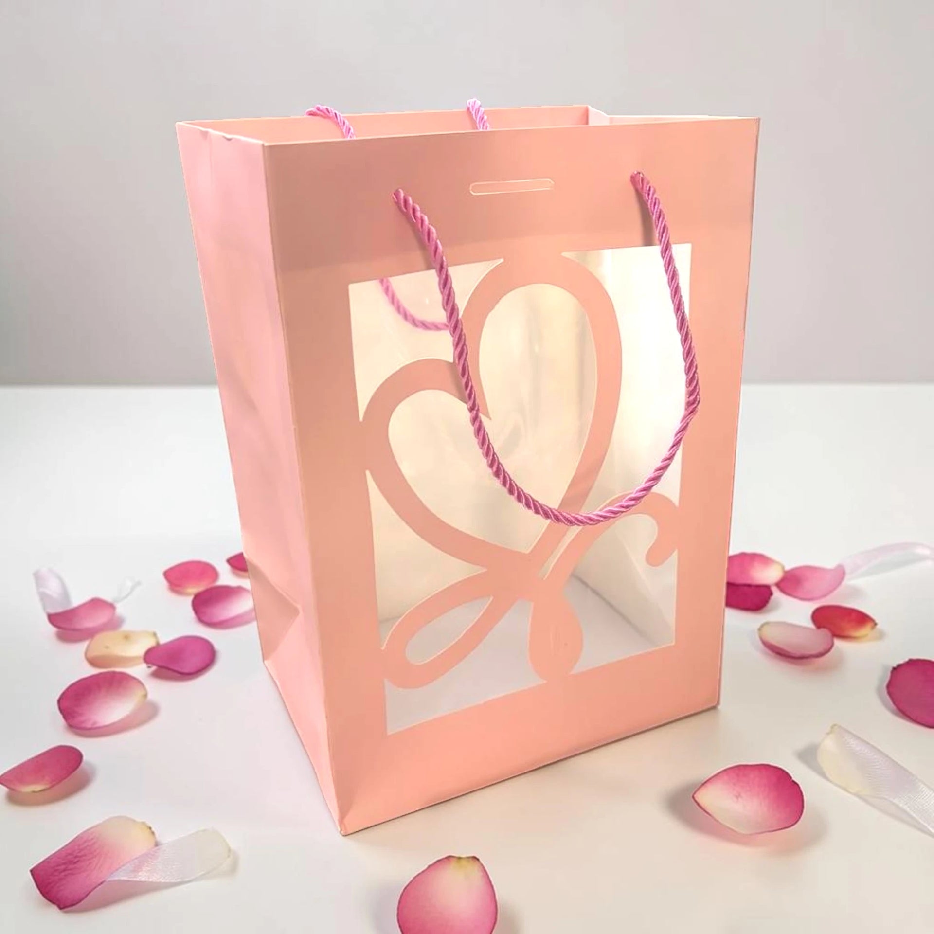 Paper Gift Bag